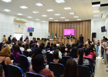 Câmara Municipal de SFI Institui a Procuradoria da Mulher